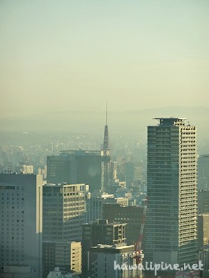 名古屋テレビ塔（中部電力 MIRAI TOWER）